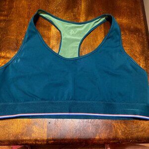 Four Laps Sports Bra